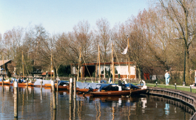 Sneek
